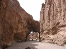 PICTURES/Death Valley - Wildflowers/t_Death Valley - Natural Bridge5.JPG